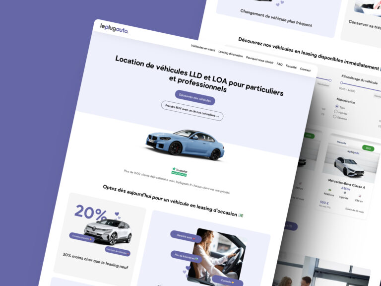 le-plug-auto-client-consultant-marketing-sosozhi